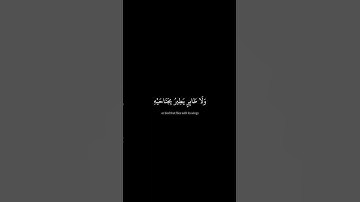 وَمَا مِنْ دَابَّةٍ فِي الْأَرْضِ | سورة الأنعام | محمد صديق المنشاوي