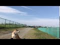 伊丹空港2回目まぁまぁ