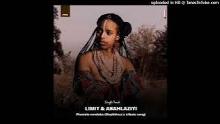 Limit & Abahlaziyi - (Slaybhincas Tribute Song) Phumula Nondaba.