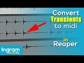 Converting transients to midi in reaper