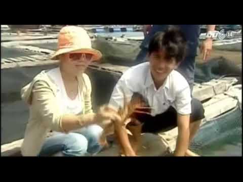 Video VTC14_Biển đảo Việt Nam_Bình Thuận có đảo Phú... - youtube