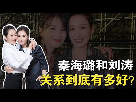 刘涛为帮老公还债，无奈求助秦海璐，不料她的做法让刘涛终生难忘