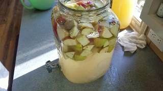 Home made Apple Cider Vinegar without buying a Scoby (Mother)~ SHTF recipes