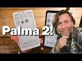 Palmer 2 Video Tutorial Quiz