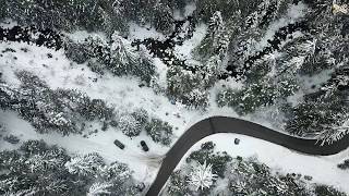 Bansko, snowy forest  (drone view)