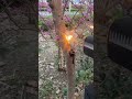 260W laser igniter #automobile #laserigniter #diy #youtube #outdoors