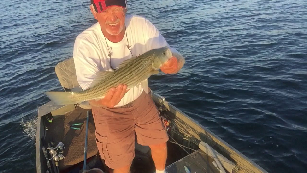 Striper Fishing And Talking Facts On Lake Murray YouTube