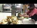 Coconut Peeling Machine:It just peels 9 consecutive coconut,operated by a single lady(Amazing)