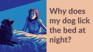 Why does my dog lick the bed at night?