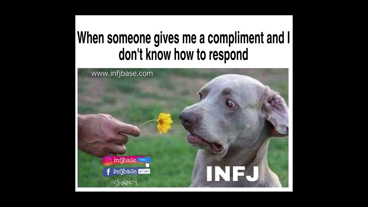 INFJ memes part 3 MBTI