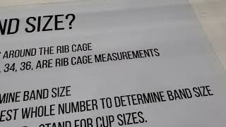 Bra Measurements