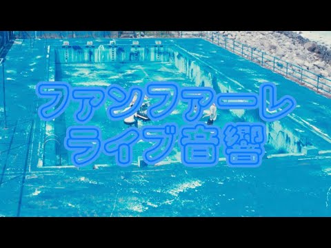 【ライブ音響】ファンファーレ / sumika  ※イヤホン推奨
