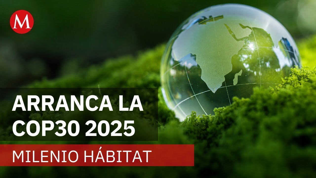 Inicia la COP 30 en Brasil con agenda enfocada en financiamiento climático | Milenio Hábitat