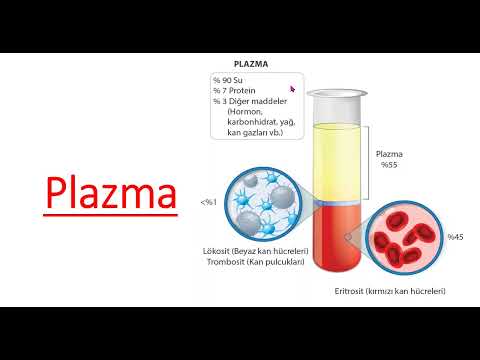 KANIN YAPISI  PLAZMA VE KAN HÜCRELERİ #kan #kanplazması #kanhücreleri #plazma