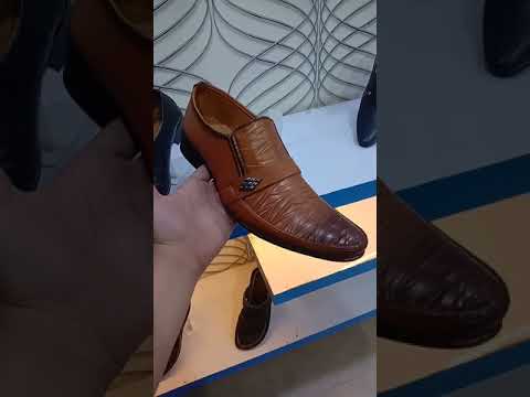 Article Overview FS5002 