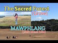 THE SACRED GROVE (forest) || SHILLONG ~ MAWPHLANG