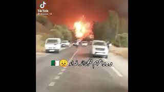 اجمل ماقيل عن شهداء الجزائر اثر الحرائق ???