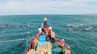Download Lagu Pukat cincin, Nelayan Indonesia Dapat Banyak Ikan, luar biasa hasil tangkapan nelayan Indonesia MP3