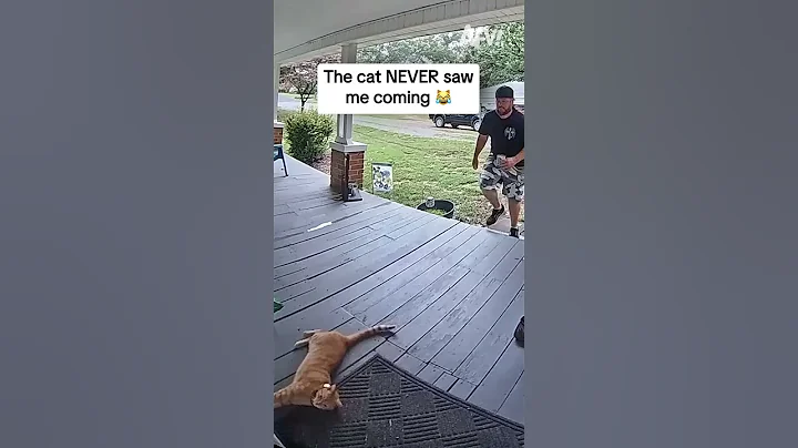 The cat NEVER saw me coming 😹