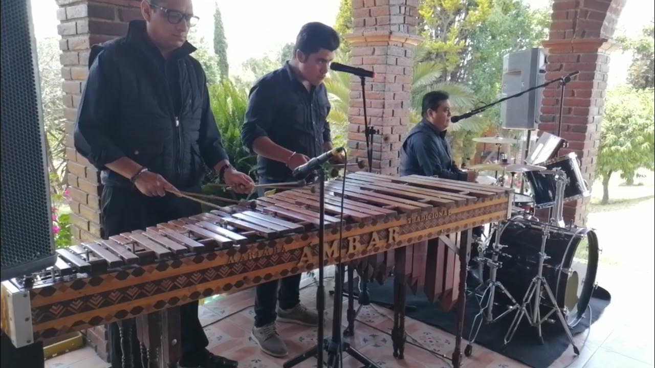 Murió la Flor 😍🌹 con Marimba Tradicional "Ámbar" / 7225308862 Marimba
