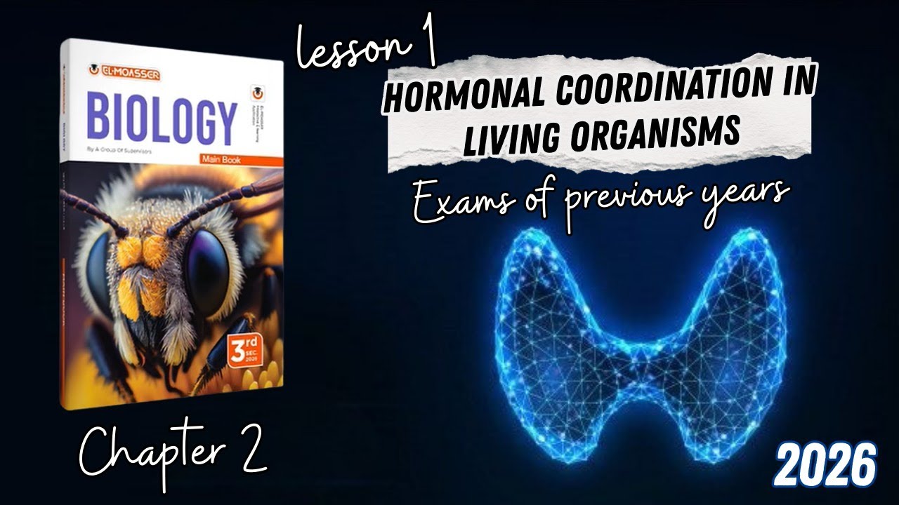 CHAPTER 2 | Lesson 1 | ELMOASSER | questions of previous exams