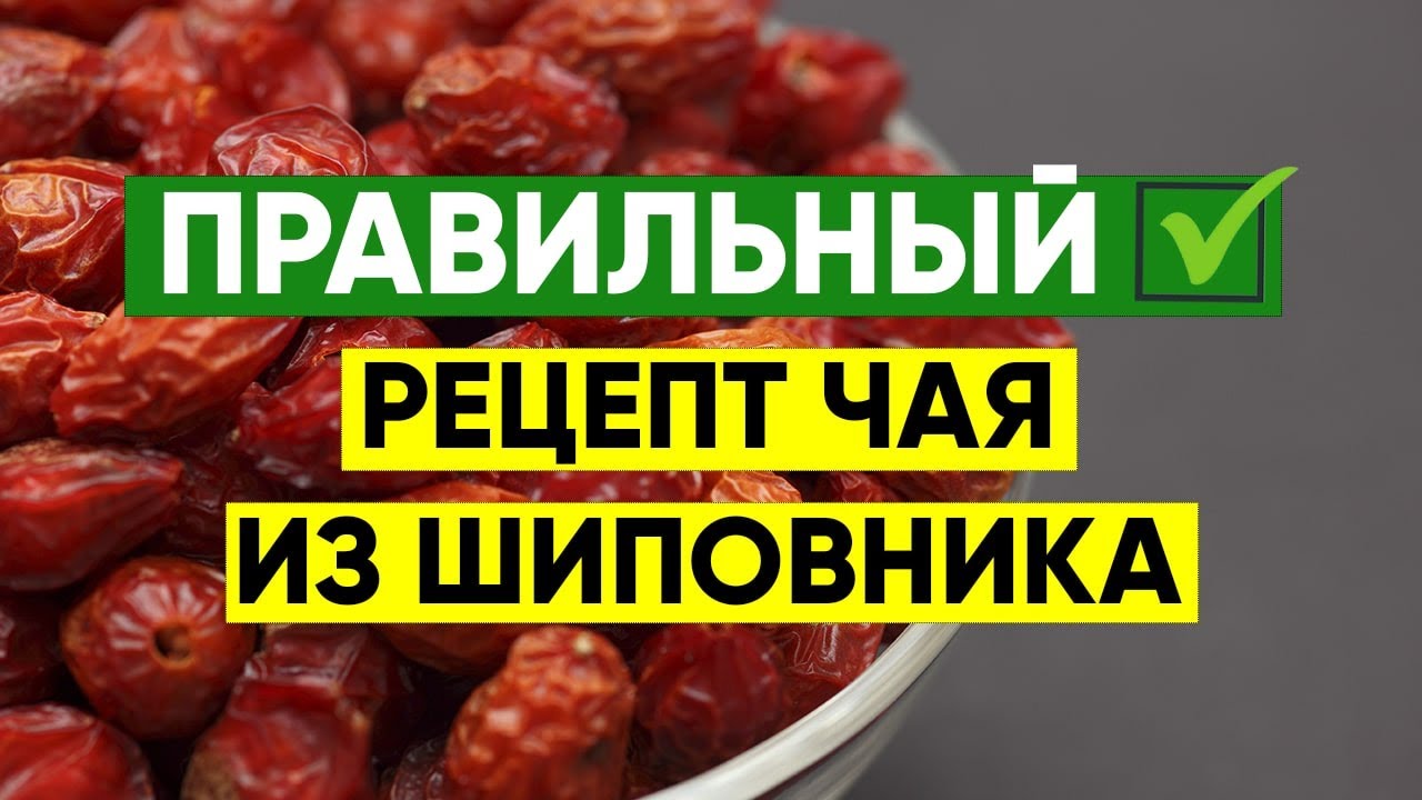 Правильный рецепт чая из шиповника 