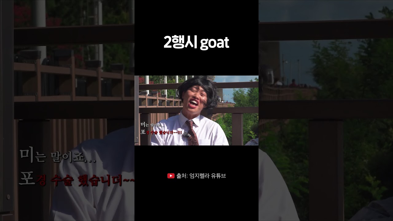 미포에 고래 출몰