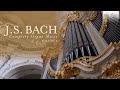 J.S. Bach: Complete Organ Music, Vol. 2