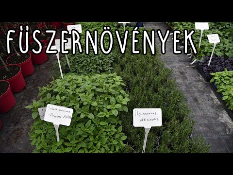 Videó: Milyen Fűszerek Alkalmasak A Sertéshúsra