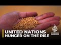 Food security: UN says hunger &amp; malnutrition on the rise