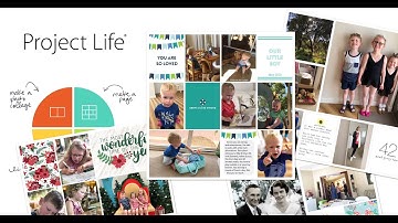 Introduction to the Project Life App (2020)