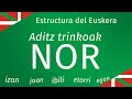 Aditz trinkoak verbos sintticos nor egon joan etorri ibili  estructura del euskera