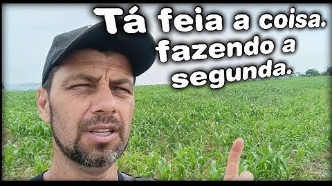 Plantar uma lavoura de milho requer conhecimento.Fazendo a segunda adubação.