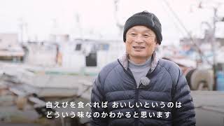 かっぱ寿司商品紹介：富山湾産の白えび