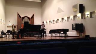 Nordische Fantasie - Hoch Romano Diederen.