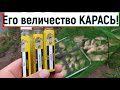 Его величество КАРАСЬ!