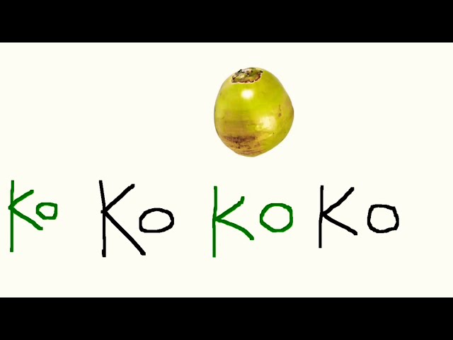 ThE kOkOnUt Song 🥥🌴| RUBIIICORN class=