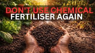8 Organic Manures That Beat Chemical Fertilizer for Vegetables (Most Gardeners Don't Know #4)