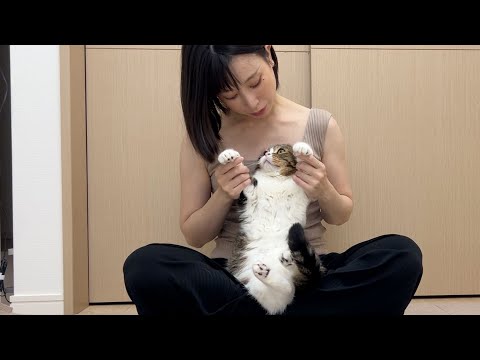 ぽこ太郎 スコスコぽこ太郎&うま次郎 (@PocoUma) / X