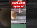 Plastic Egg Nakli Ande Ki Pahchan Kare Shorts Plastic Egg Nakli Ande Ki Pahchan Kare Shorts