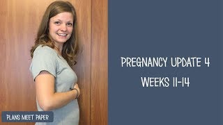 Week 11 - 14 Update | End of the First Trimester, Nuchal Fold Measurements and Cell Free DNA Test