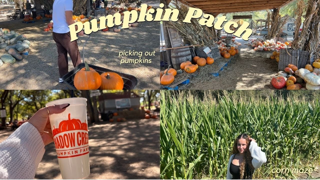 FALL VLOG *with my bf* | Our First Pumpkin Patch Together 🎃