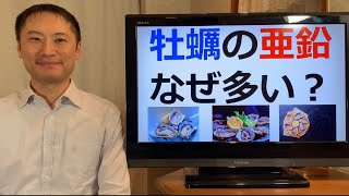 牡蠣はなぜ最強の亜鉛食品なのか？牡蠣は海の浄化装置だった！生食用と加熱用どちらを選ぶべき？【栄養チャンネル信長】