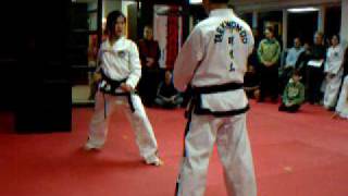 Démonstration de Taekwon-Do de Grand maître Trân screenshot 3