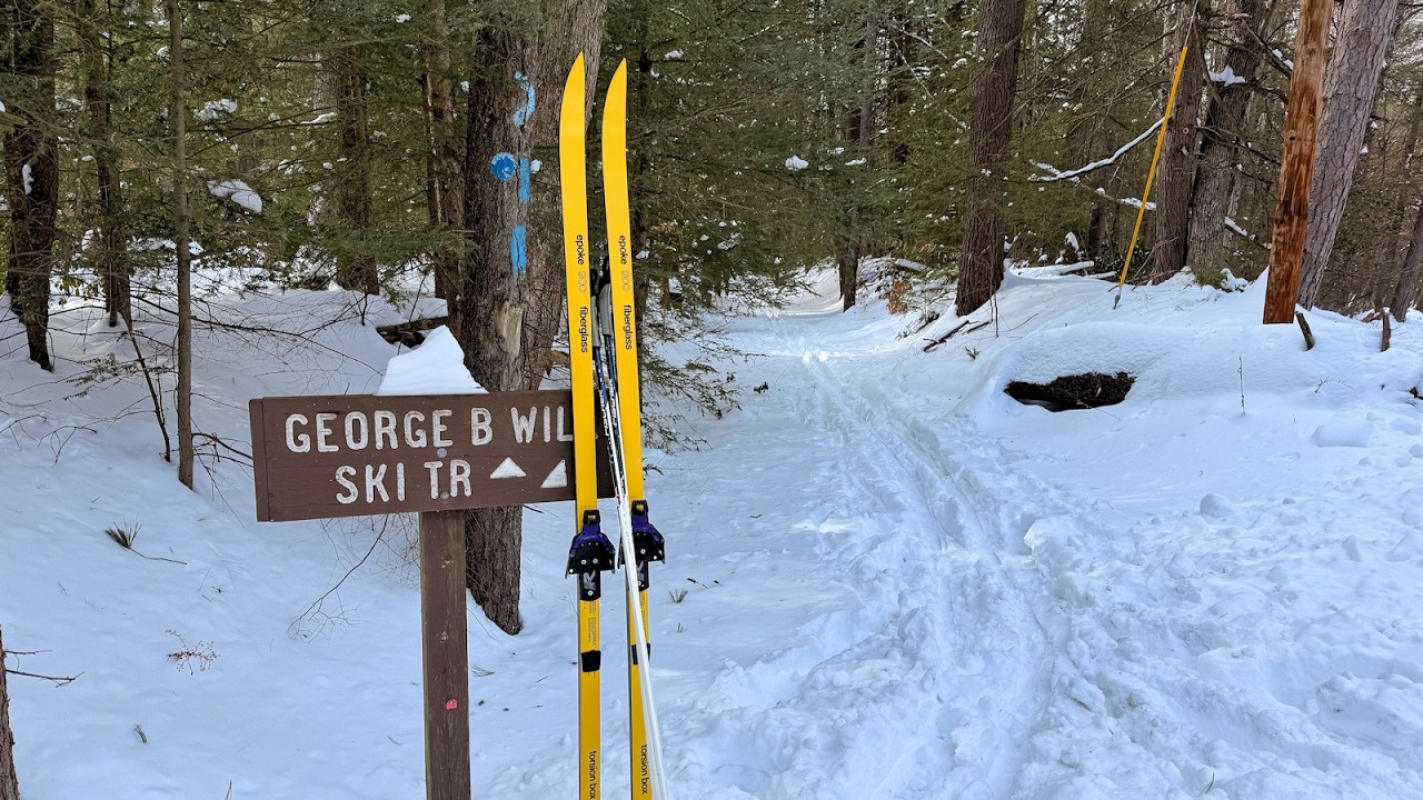 Cross Country Ski - George Will Trail / Refuge Trail Loop, Tiadaghton State Forest - January 31 2026