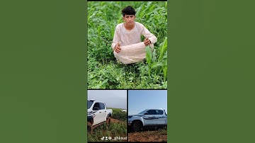 قران كريم بصوت جميل راحت القلب #1️⃣ 🔃🔃🔃🔃 #راحة_نفسية