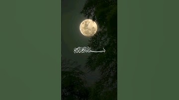 سورة الناس بصوت القارئ سعد الغامدي. #سعد_الغامدي #سورة_الناس #القرآن_الكريم