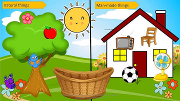 Grade 1   Computer Studies    Lesson 3   What is a computer