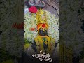 #आईसाहेब भोळी माझी भक्ती भोळा माझा भाव