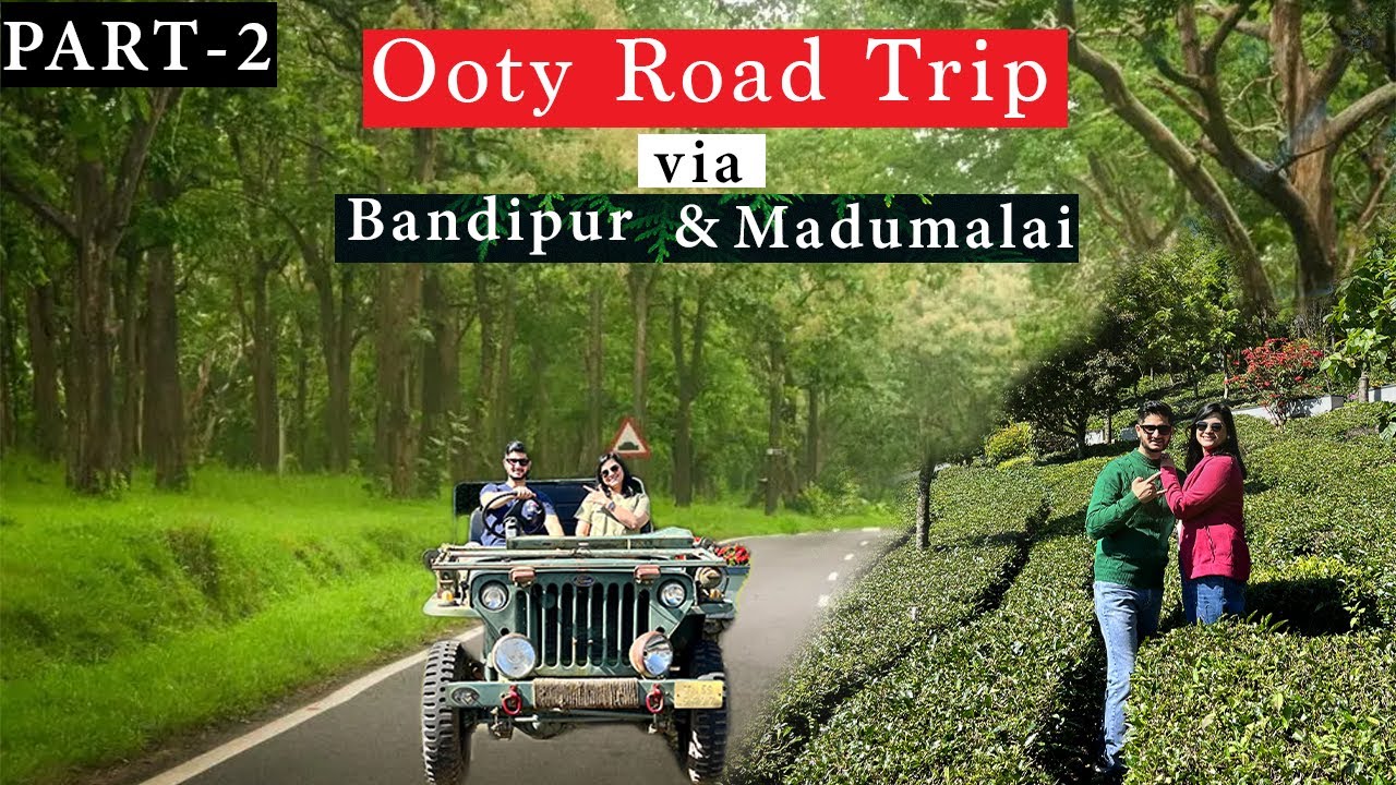 mysore to bandipur road trip